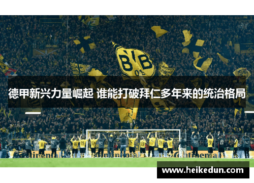 德甲新兴力量崛起 谁能打破拜仁多年来的统治格局