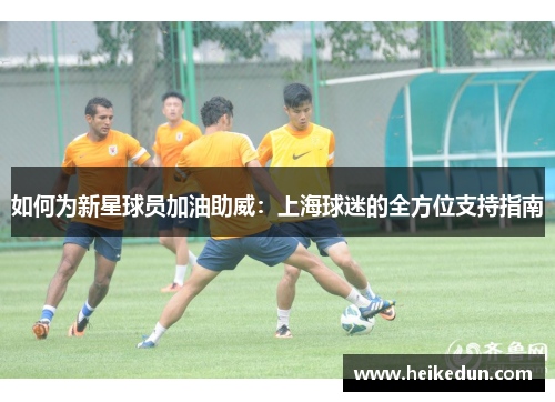如何为新星球员加油助威：上海球迷的全方位支持指南