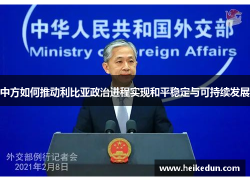 中方如何推动利比亚政治进程实现和平稳定与可持续发展