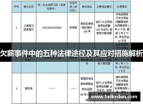 欠薪事件中的五种法律途径及其应对措施解析