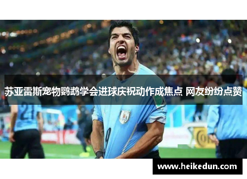 苏亚雷斯宠物鹦鹉学会进球庆祝动作成焦点 网友纷纷点赞
